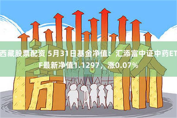 西藏股票配资 5月31日基金净值：汇添富中证中药ETF最新净值1.1297，涨0.07%