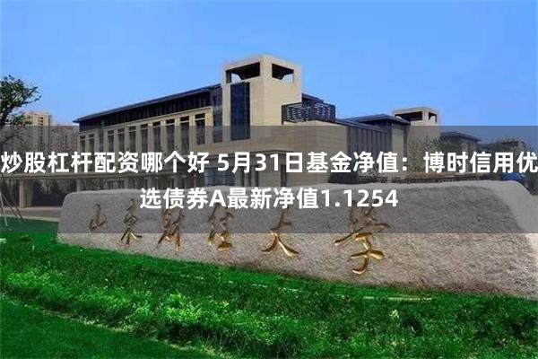 炒股杠杆配资哪个好 5月31日基金净值：博时信用优选债券A最新净值1.1254