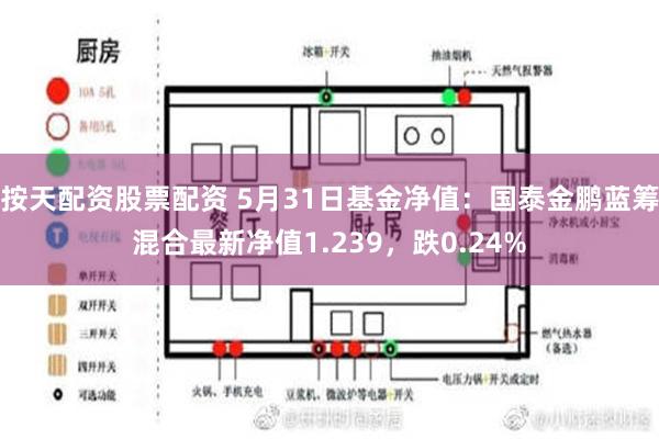 按天配资股票配资 5月31日基金净值：国泰金鹏蓝筹混合最新净值1.239，跌0.24%