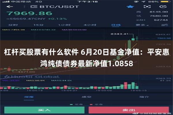 杠杆买股票有什么软件 6月20日基金净值：平安惠鸿纯债债券最新净值1.0858