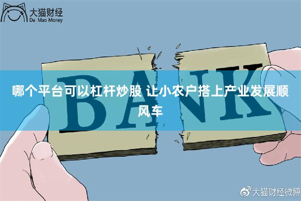 哪个平台可以杠杆炒股 让小农户搭上产业发展顺风车