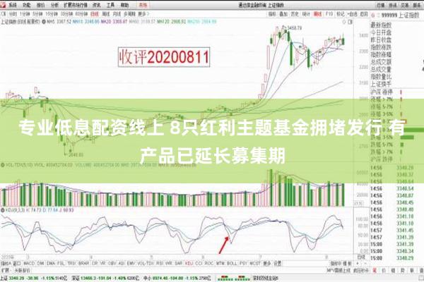 专业低息配资线上 8只红利主题基金拥堵发行 有产品已延长募集期