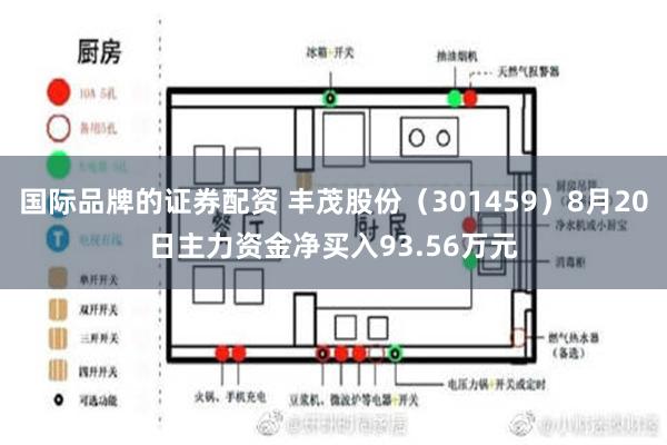 国际品牌的证券配资 丰茂股份（301459）8月20日主力资金净买入93.56万元