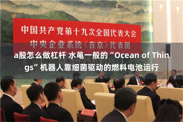 a股怎么做杠杆 水黾一般的“Ocean of Things”机器人靠细菌驱动的燃料电池运行