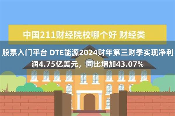 股票入门平台 DTE能源2024财年第三财季实现净利润4.75亿美元，同比增加43.07%