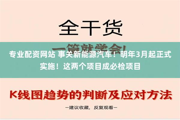 专业配资网站 事关新能源汽车！明年3月起正式实施！这两个项目成必检项目