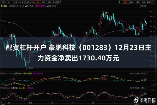 配资杠杆开户 豪鹏科技（001283）12月23日主力资金净卖出1730.40万元