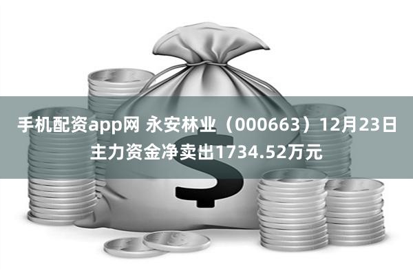 手机配资app网 永安林业（000663）12月23日主力资金净卖出1734.52万元