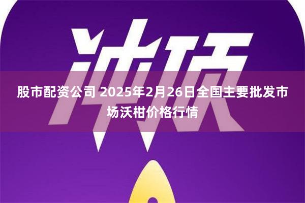 股市配资公司 2025年2月26日全国主要批发市场沃柑价格行情